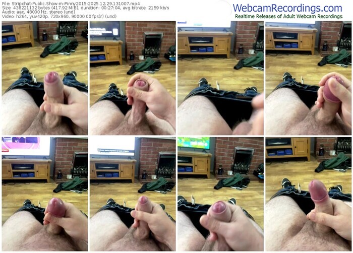 stripchat-pinny2015-12-29-2025-13-10-07