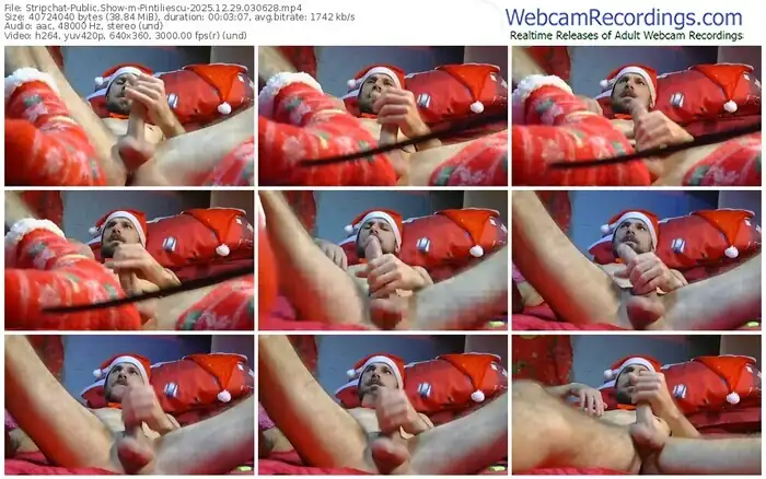 stripchat-pintiliescu-12-29-2025-03-06-28