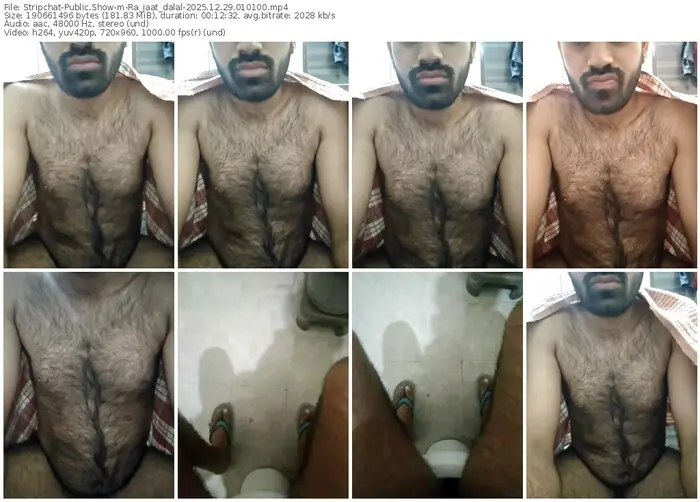 stripchat-ra_jaat_dalal-12-29-2025-01-01-00