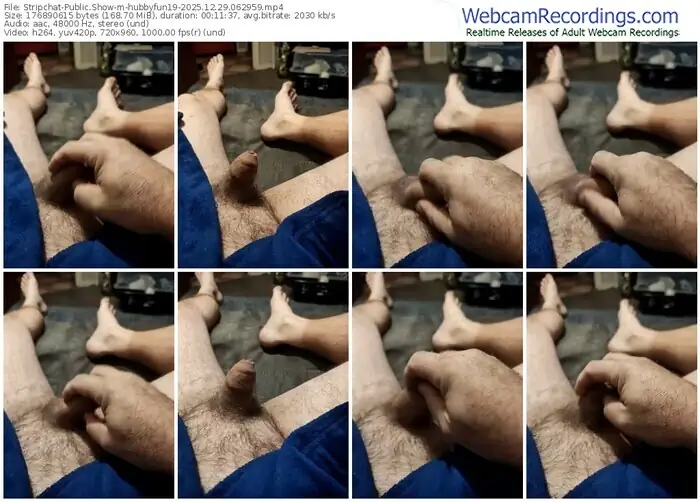 stripchat-hubbyfun19-12-29-2025-06-29-59