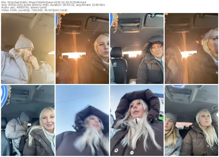 stripchat-merlindave-02-26-2026-01-55-48