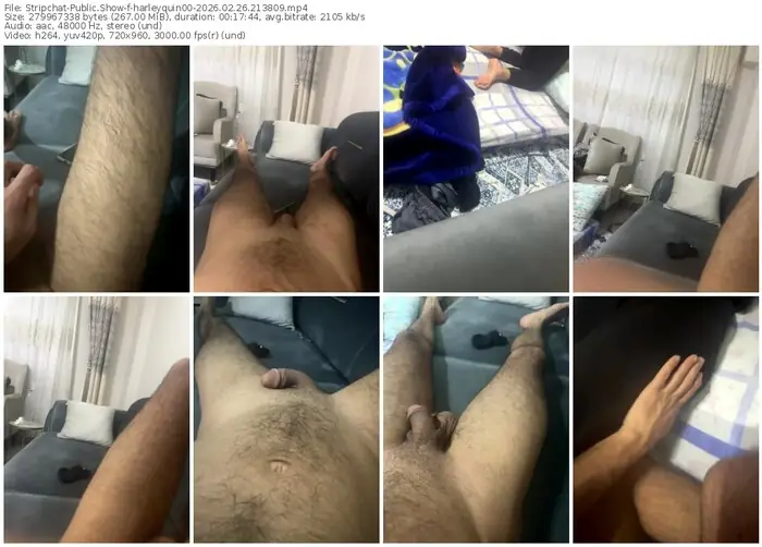 stripchat-harleyquin00-02-26-2026-21-38-09
