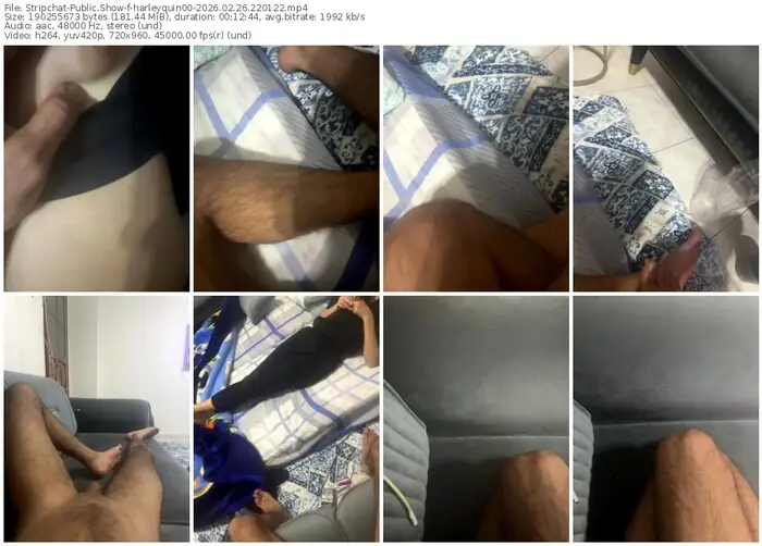 stripchat-harleyquin00-02-26-2026-22-01-22