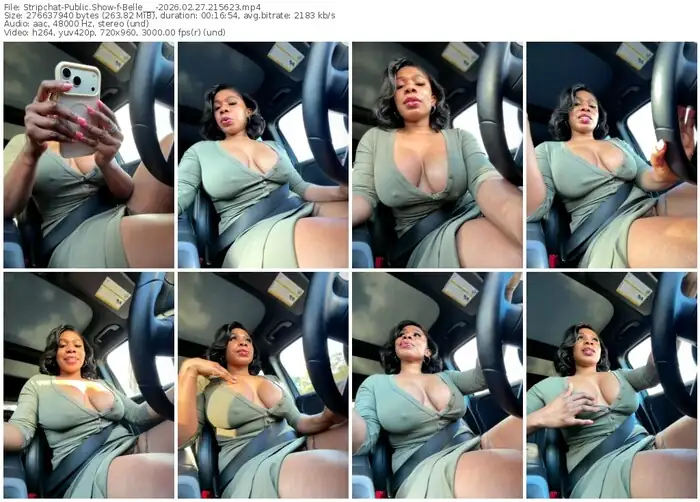 stripchat-belle___-02-27-2026-21-56-23