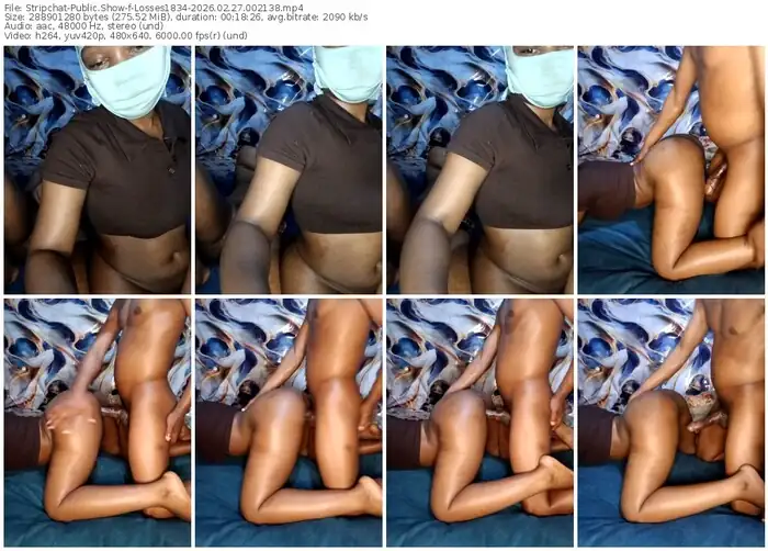 stripchat-losses1834-02-27-2026-00-21-38