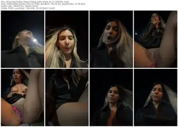 stripchat-nata_kitty-02-27-2026-02-04-51