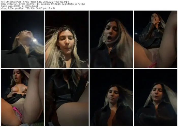 stripchat-nata_kitty-02-27-2026-02-04-51