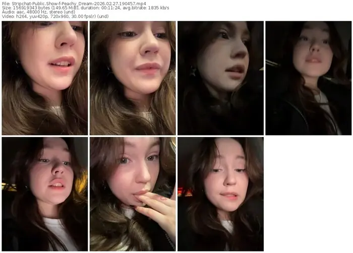 stripchat-peachy_dream-02-27-2026-19-04-57