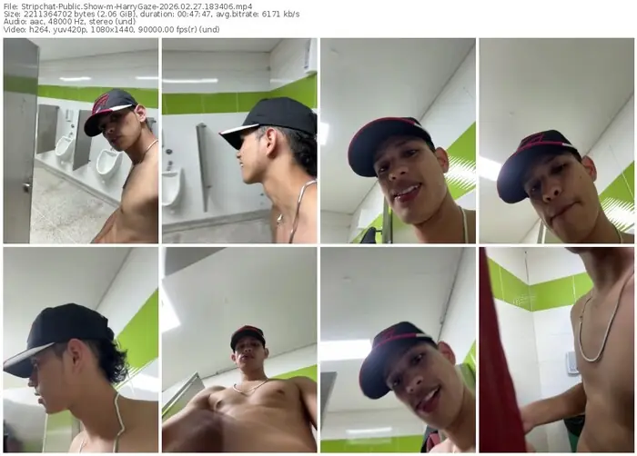 stripchat-harrygaze-02-27-2026-18-34-06