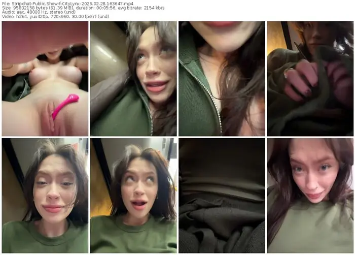 stripchat-citylynx-02-28-2026-16-36-47