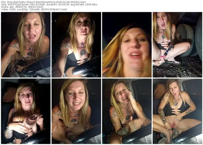 stripchat-sheissomething-02-28-2026-04-22-52