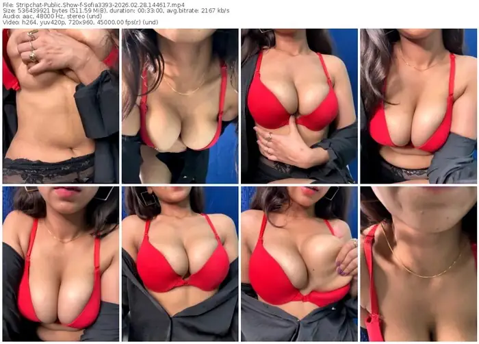 stripchat-sofia3393-02-28-2026-14-46-17