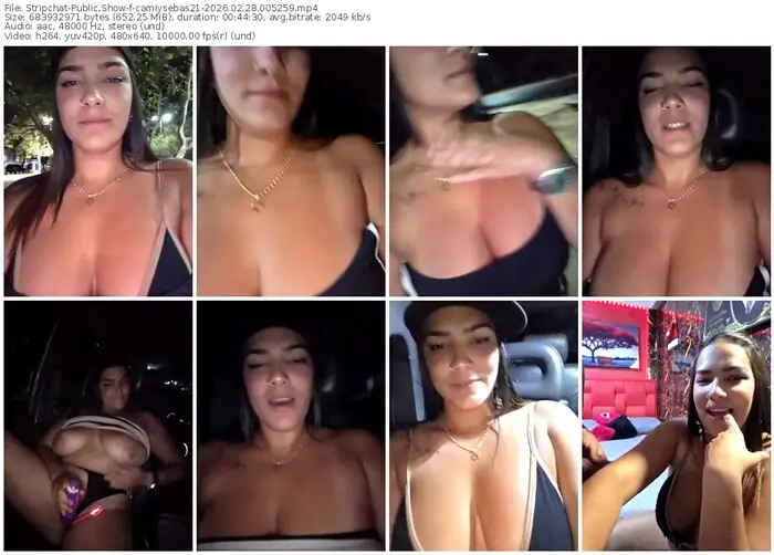 stripchat-camiysebas21-02-28-2026-00-52-59