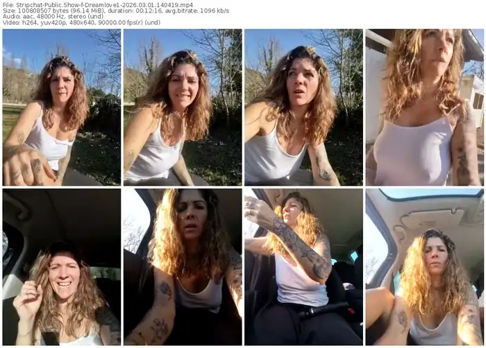 stripchat-dreamlove1-03-01-2026-14-04-19