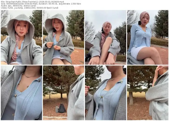 stripchat-winter11-03-01-2026-06-34-09