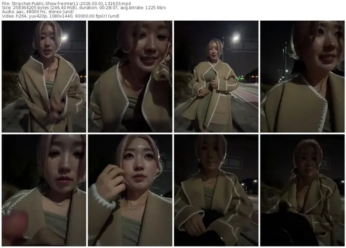 stripchat-winter11-03-01-2026-13-16-33