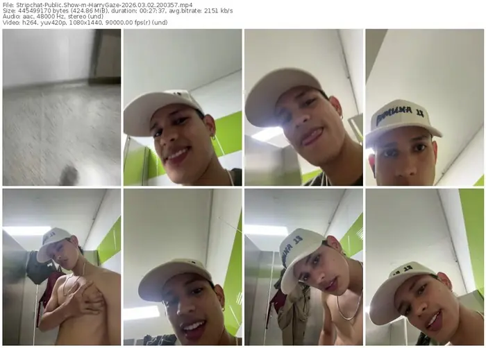 stripchat-harrygaze-03-02-2026-20-03-57