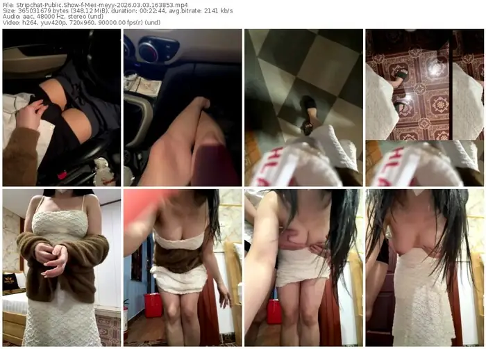 stripchat-meii-meyy-03-03-2026-16-38-53