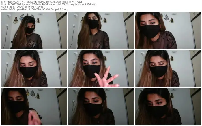 stripchat-meadow_rain-03-04-2026-17-12-36