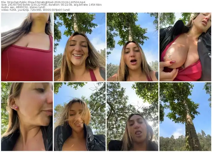 stripchat-ninabigtitied-03-04-2026-14-05-24
