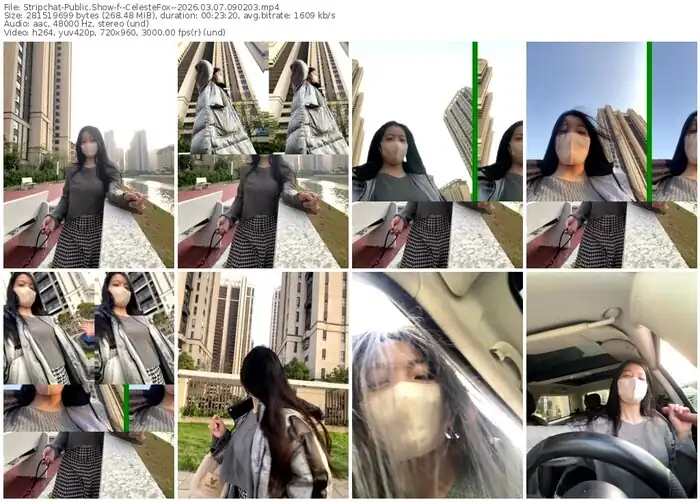 stripchat--celestefox--03-07-2026-09-02-03