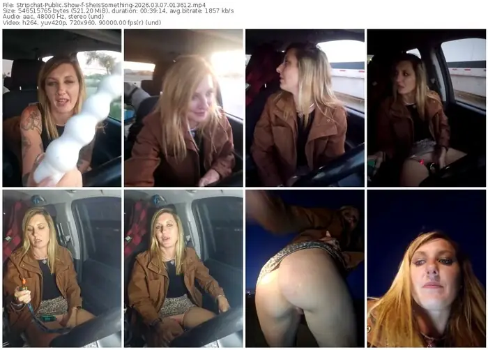 stripchat-sheissomething-03-07-2026-01-36-12