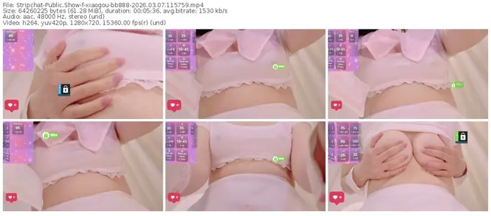 stripchat-xiaogou-bb888-03-07-2026-11-57-59