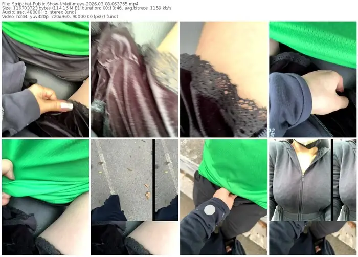 stripchat-meii-meyy-03-08-2026-06-37-55