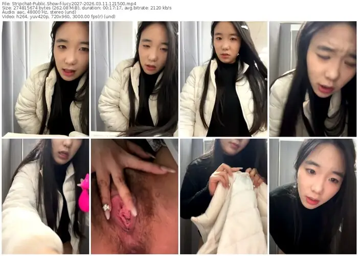 stripchat-lucy2027-03-11-2026-12-15-00