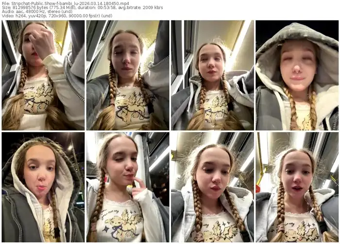 stripchat-bambi_lu-03-14-2026-18-04-50