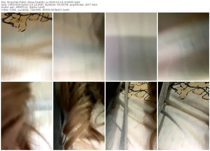 stripchat-bambi_lu-03-14-2026-21-06-45