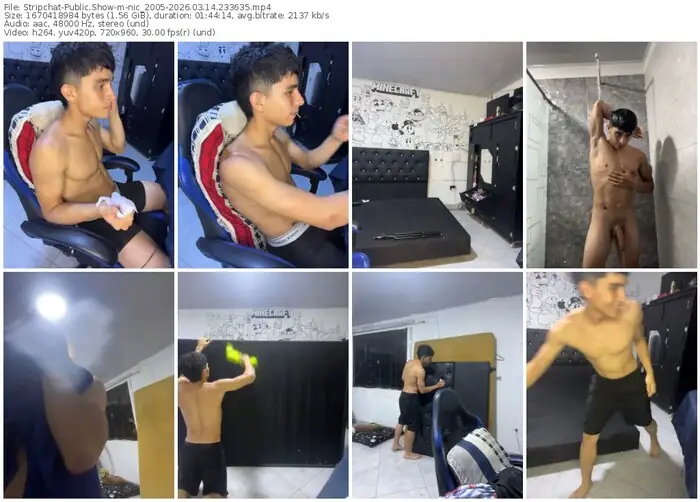 stripchat-nic_2005-03-14-2026-23-36-35