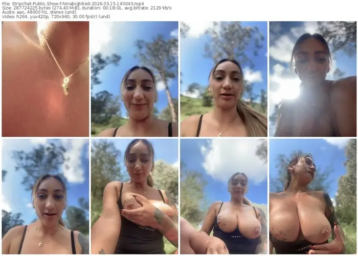 stripchat-ninabigtitied-03-15-2026-14-00-43