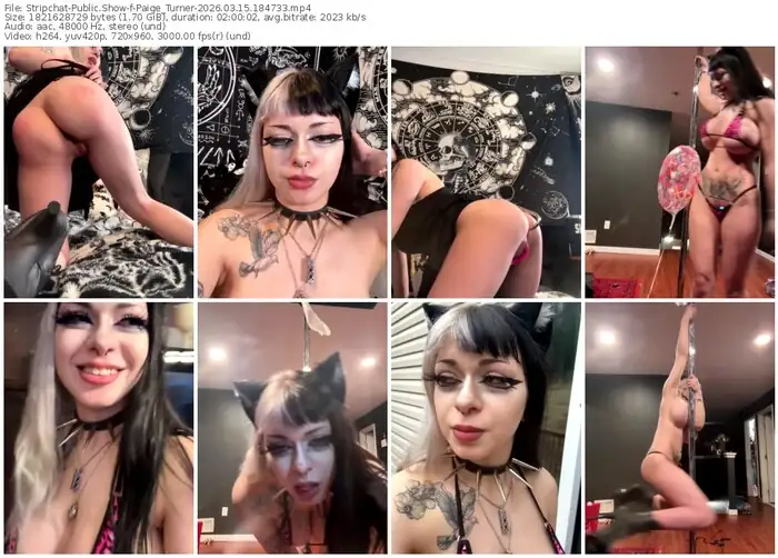 stripchat-paige_turner-03-15-2026-18-47-33