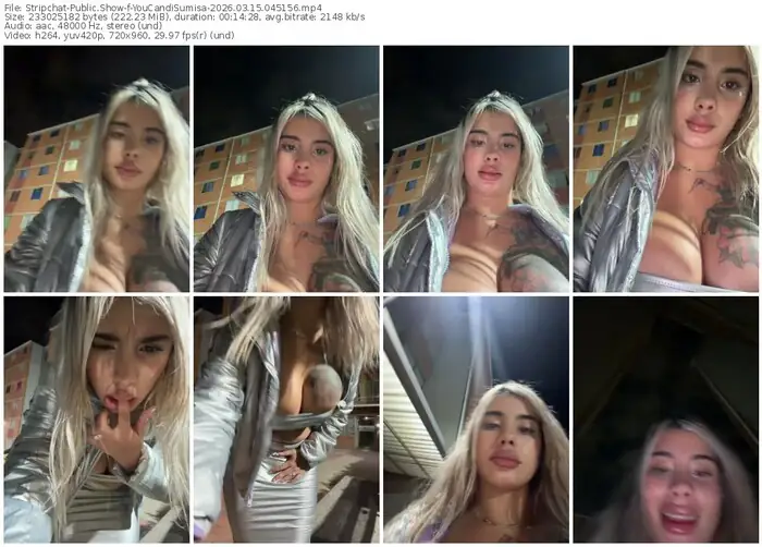 stripchat-youcandisumisa-03-15-2026-04-51-56