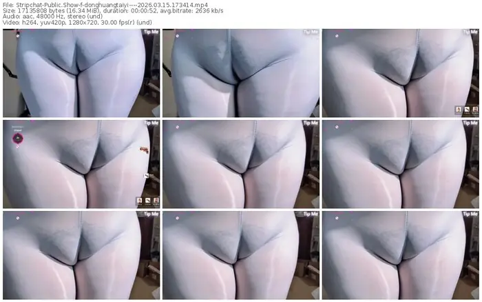 stripchat-donghuangtaiyi----03-15-2026-17-34-14