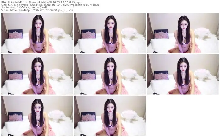 stripchat-lkjfdsks-03-15-2026-20-01-15