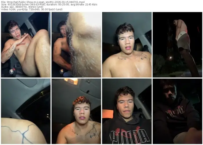stripchat-logan_smith1-03-15-2026-08-07-01