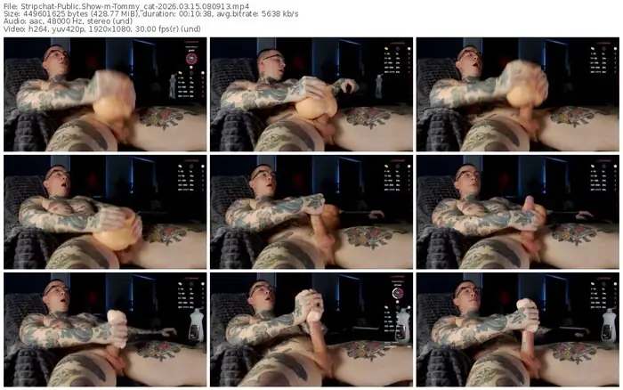 stripchat-tommy_cat-03-15-2026-08-09-13