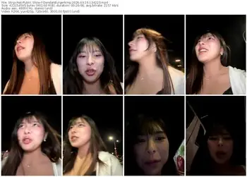 stripchat-dandanburgerking-03-16-2026-13-42-23