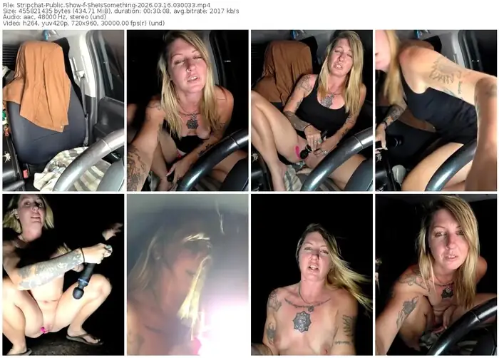 stripchat-sheissomething-03-16-2026-03-00-33