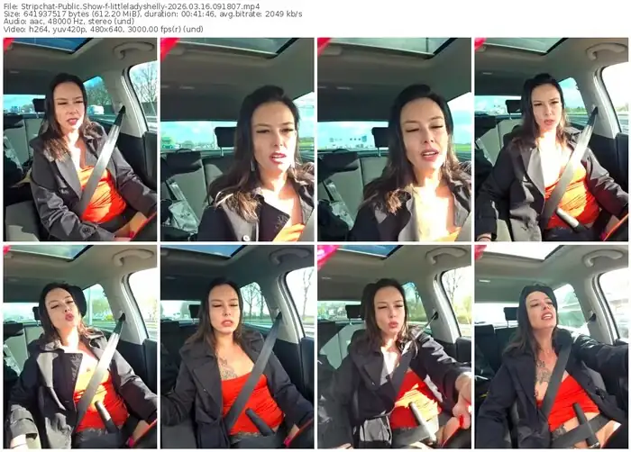 stripchat-littleladyshelly-03-16-2026-09-18-07