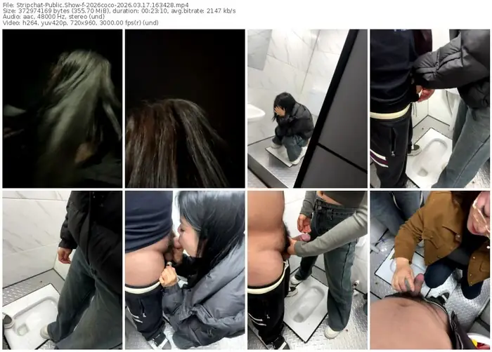 stripchat-2026coco-03-17-2026-16-34-28