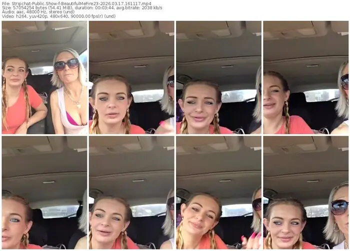 stripchat-beautifulmefire23-03-17-2026-16-11-17
