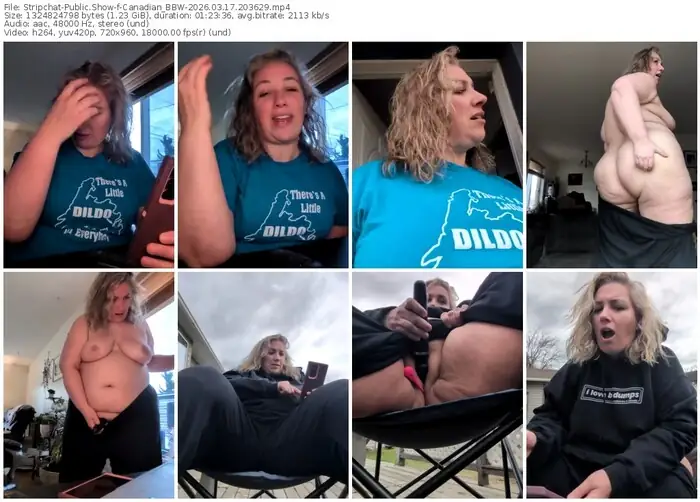 stripchat-canadian_bbw-03-17-2026-20-36-29