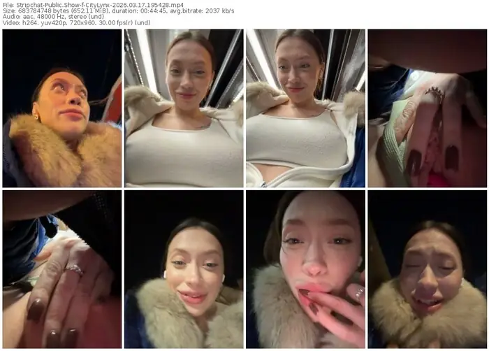stripchat-citylynx-03-17-2026-19-54-28