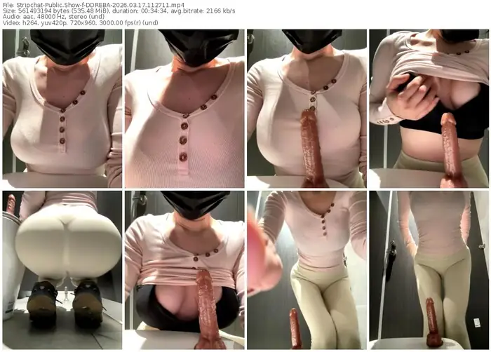 stripchat-ddreba-03-17-2026-11-27-11