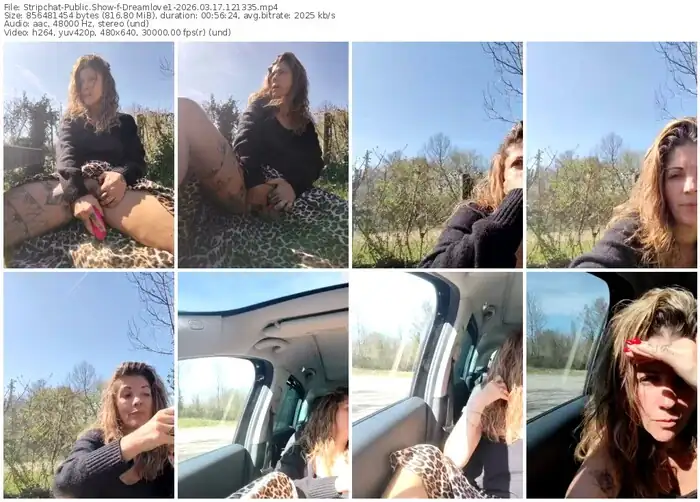 stripchat-dreamlove1-03-17-2026-12-13-35