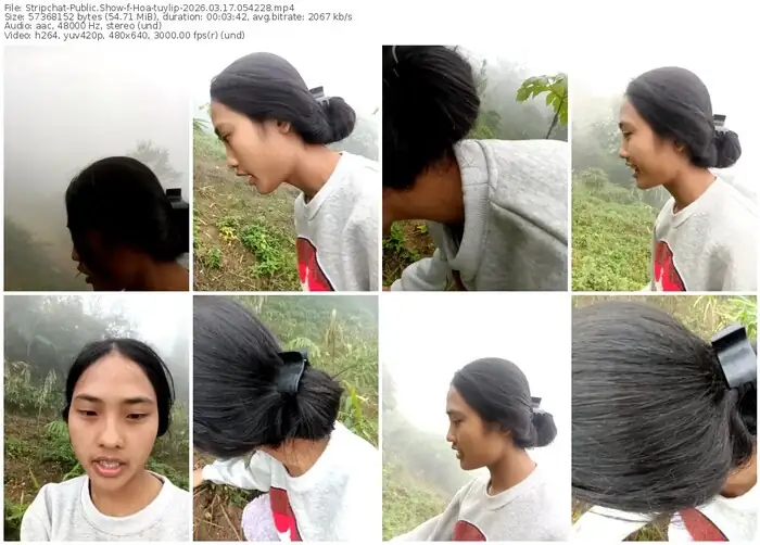 stripchat-hoa-tuylip-03-17-2026-05-42-28