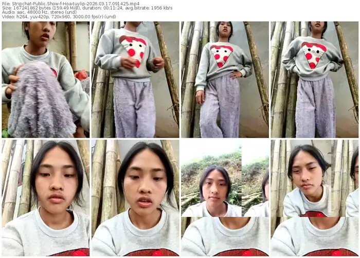 stripchat-hoa-tuylip-03-17-2026-09-14-25